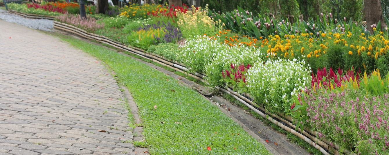 flower-garden-green-0
