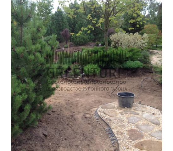 Устройство рулонного газона в коттеджном поселке - фото - 9